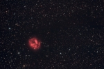 IC 5146HARGB2